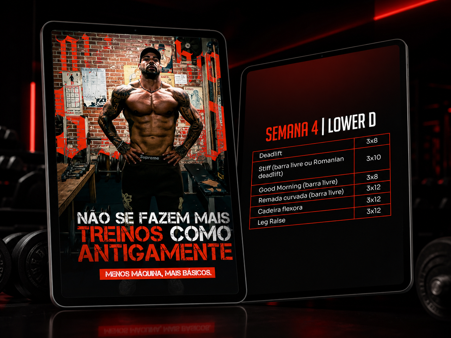 Plano de Treino RAIZ